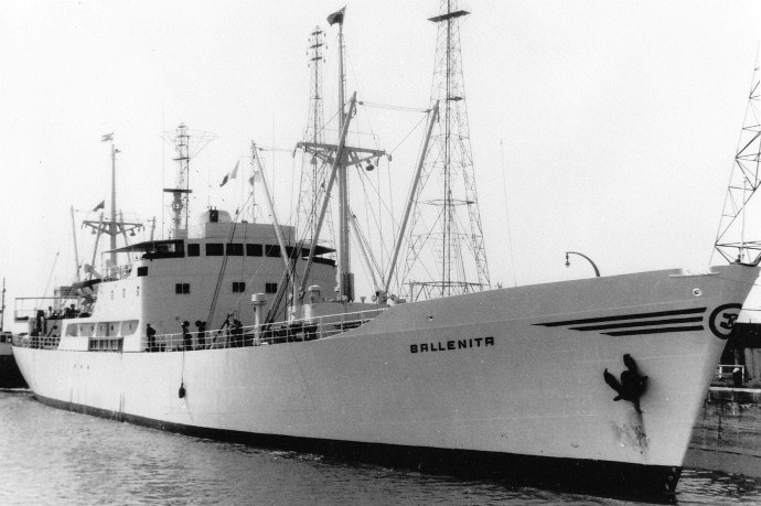 UKJ10119570120001 BALLENITA