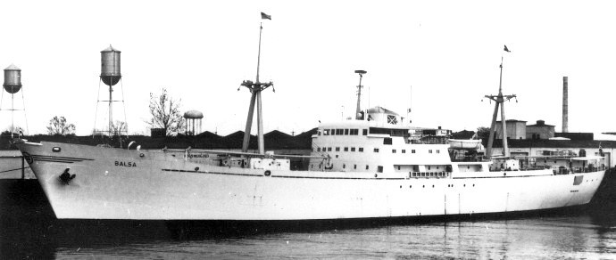 UKJ10119600220001 BALSA