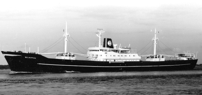 UKJ10119640320001 BELNIPPON