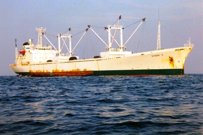 GRI40419960320001 THORDIS