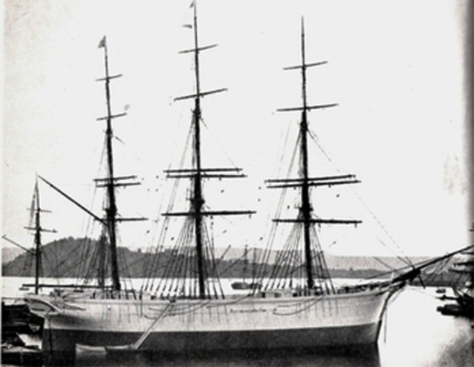 HAL69719000120001 HVIDEORN