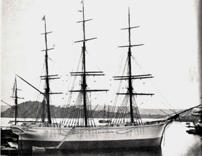 HAL69719000120001 HVIDEORN