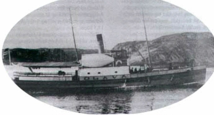 HAL69819090120001  OLAVA