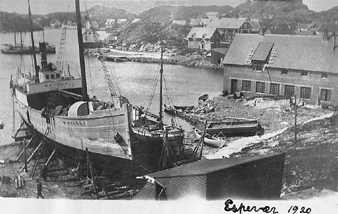 HAU20119210120001 MALULA