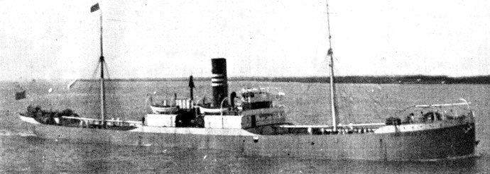 HAU21419160220001 SOLVEIG SKOGLAND