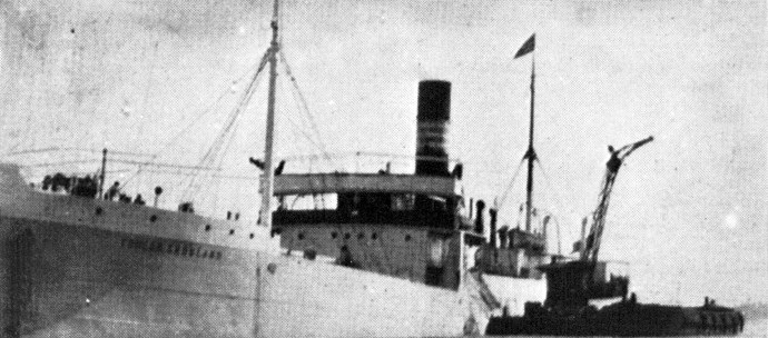 HAU21419190320001 TORLAK SKOGLAND