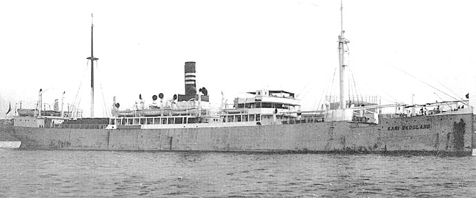 HAU21419210320001 KARI SKOGLAND