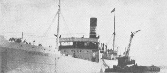 HAU21719280320001 TORLAK SKOGLAND
