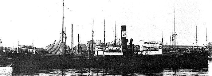 HAU23519190120001 STORBORG