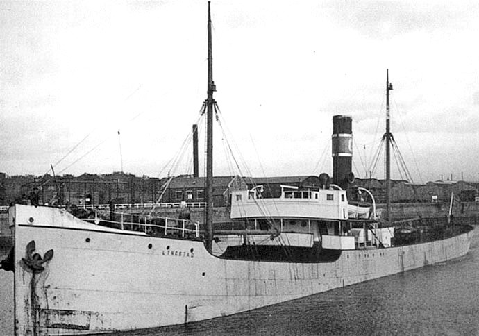 HAU24019260120001 MAGNA
