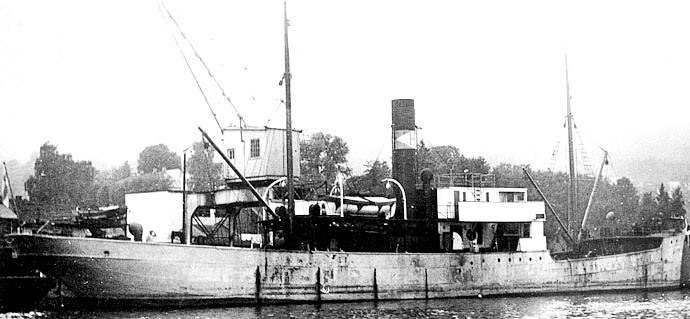 HAU24219240120001 KONGSHAUG