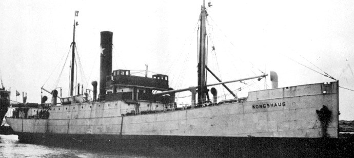 HAU24219350120001 KONGSHAUG