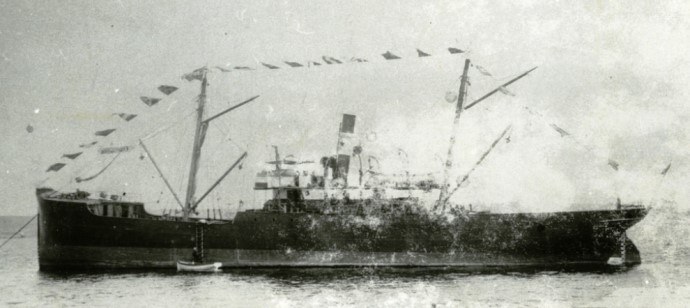 HAU24319160120001 GRONHAUG