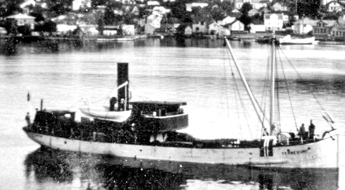 HSD10419290120001 VIKING