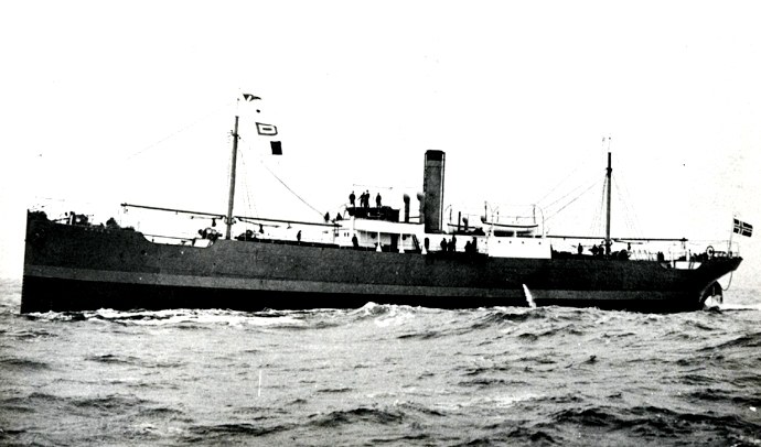 HSD16519060120001 ARIEL