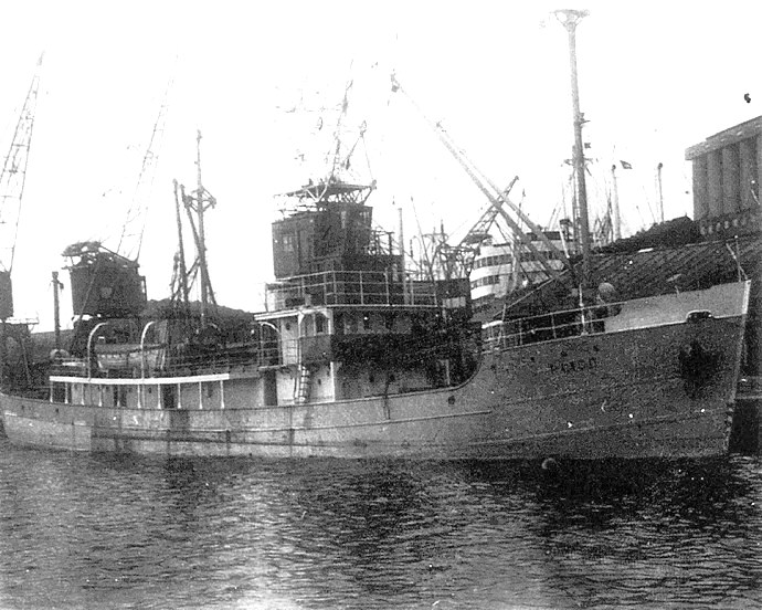 KRR22319470120002 SALVO