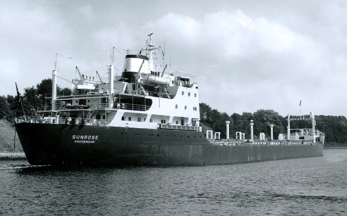 KRS21419630120001 SUNROSE