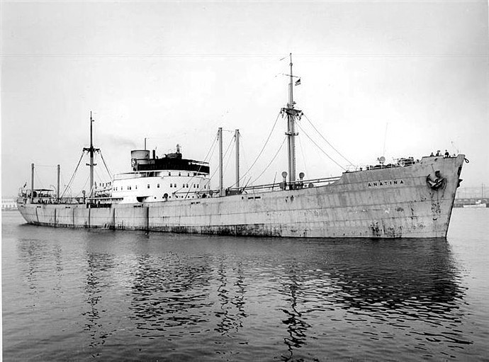 KRS21919390120002 ANATINA