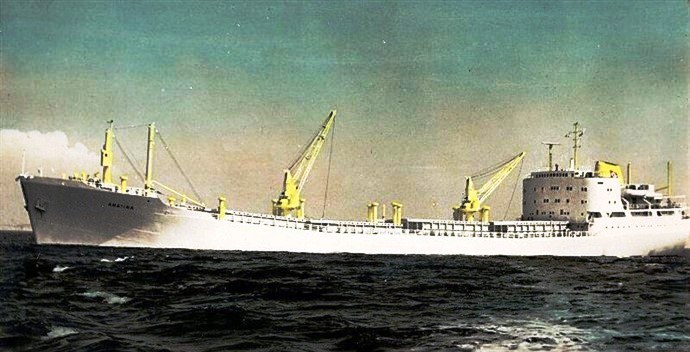 KRS21919630120001 ANATINA