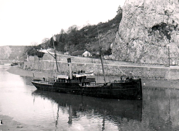 LSD80119100120001 EVVIVA