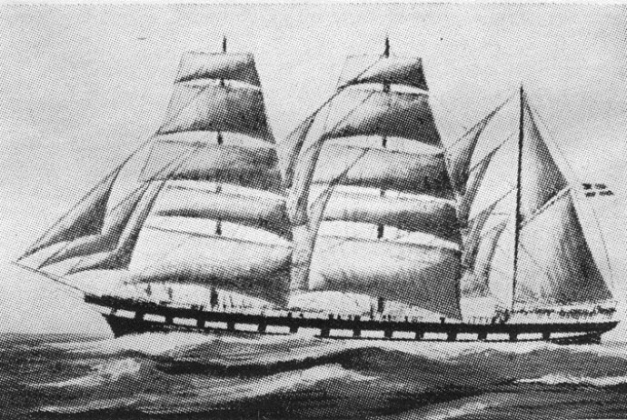 LVK19519100120001 ALFHILD