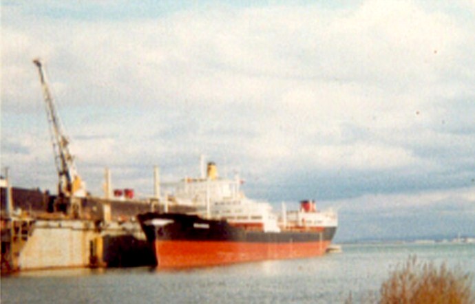 LVK20019600120002 POLARSOL