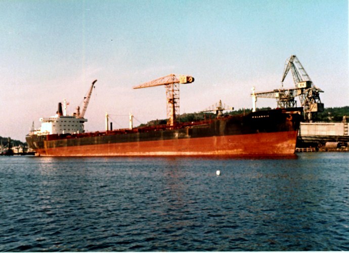 LVK20019630120005 POLARVIK