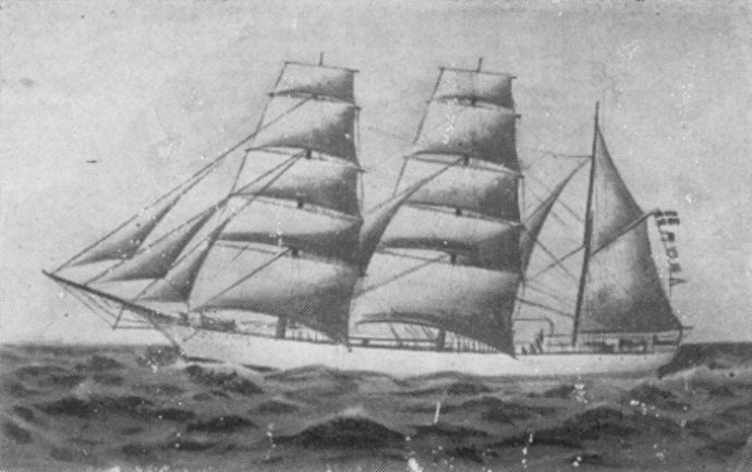 LVK20318970320001 FJELD