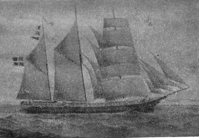 LVK20619060120001 ALRANA