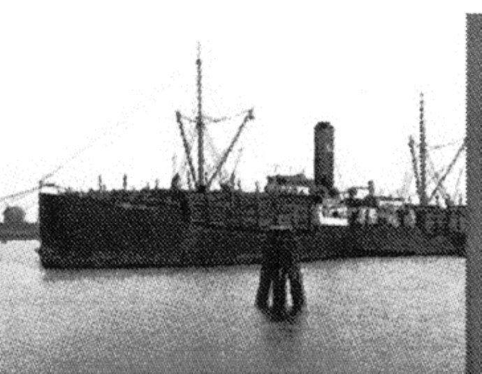 LVK20619120920001 CORA