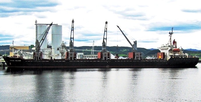 SPRING BULKER