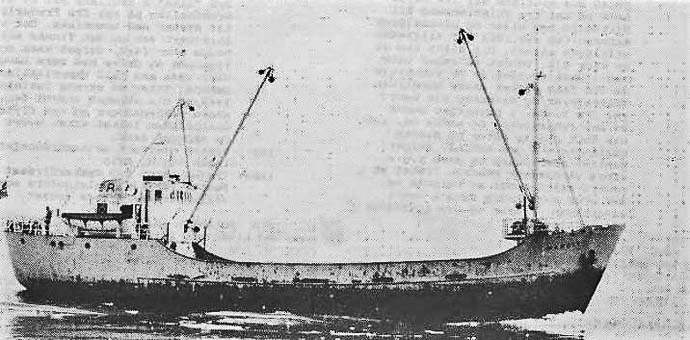 MOS59119620220001 MARGIT
