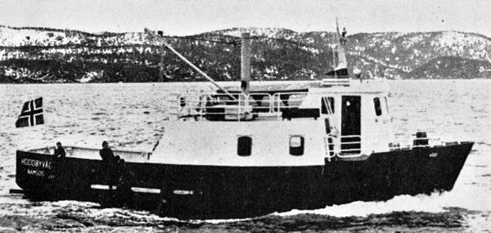 NMS10019760120001 HODDOYVAG