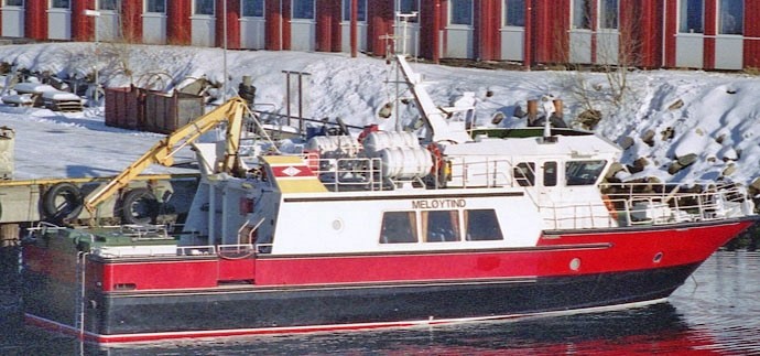 NAR10019970220001 MELOYTIND