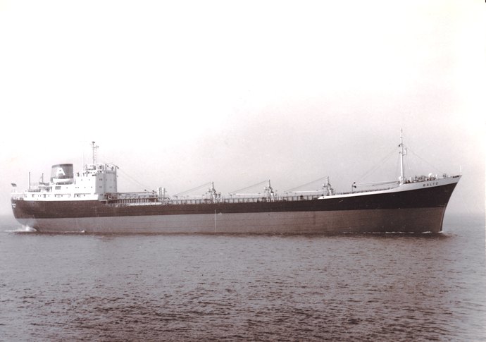 OSL30119610120002 BALTO