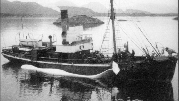 SFJ00819110320001 HOBART