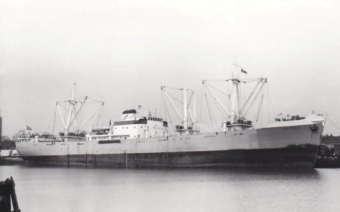 OSL30519610120001 LAGNO