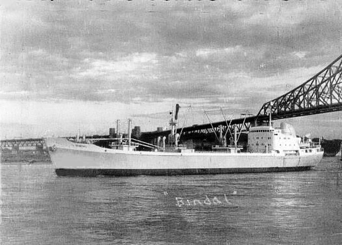 OSL30819600120001 BINDAL