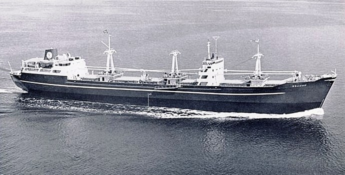 OSL31119570220001 BELLULLY