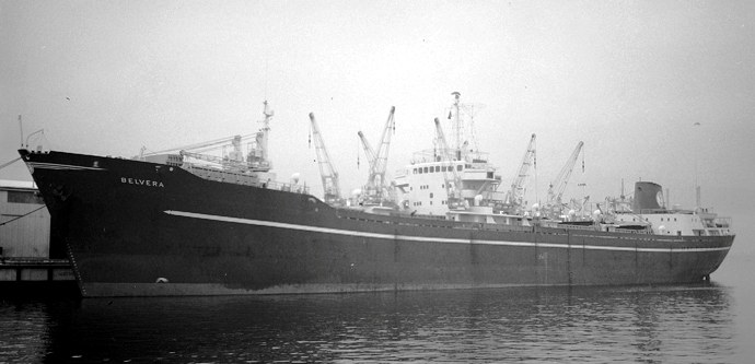 OSL31119590220001 BELVERA