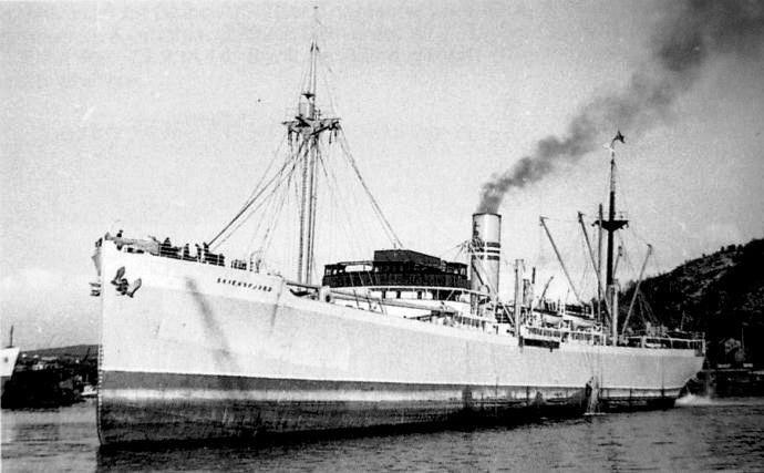 OSL31219220220001 SKIENSFJORD