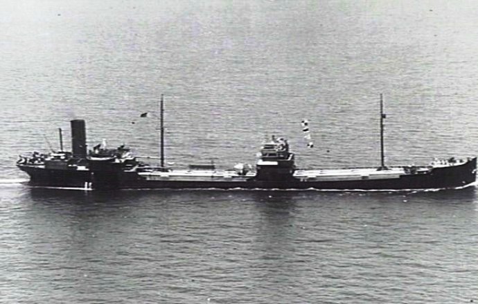 OSL31519300220002 GYLFE
