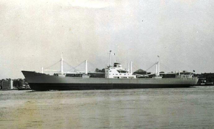 OSL31519590120001 GYLFE