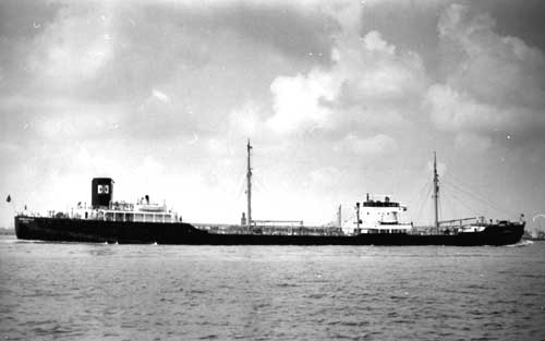 OSL31719360120001 FERNCASTLE