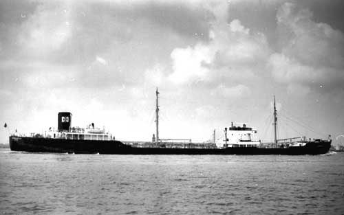 OSL31719360120001 FERNCASTLE