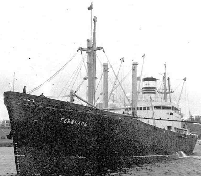 OSL31719470120001 FERNCAPE