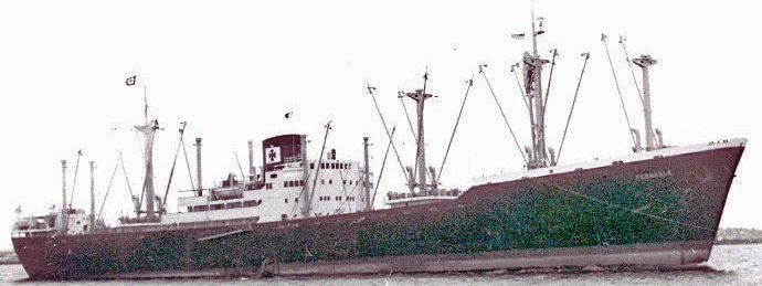 OSL31719480420001 FERNDALE