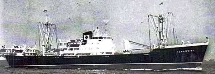 OSL31719550620001 FERNSPRING