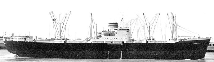 OSL31719570220001 FERNLEAF