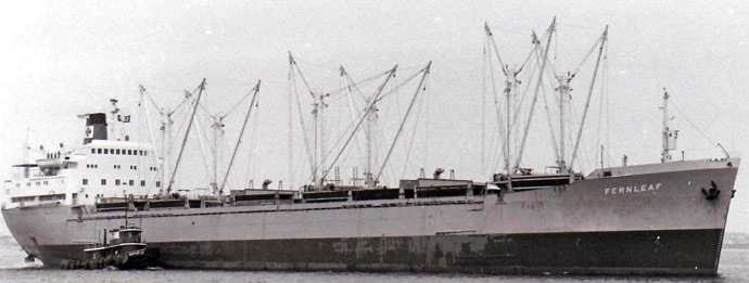 OSL31719650120001 FERNLEAF